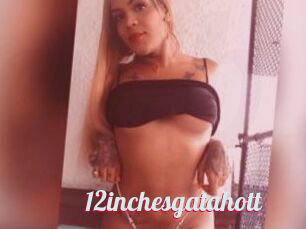 12inchesgatahott