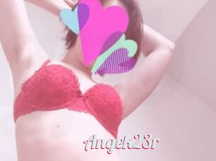 Angek23r