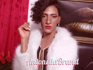 AntonellaBrand