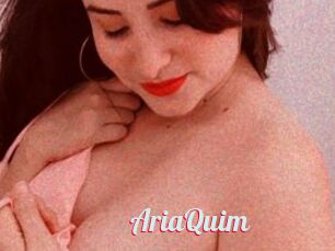 AriaQuim