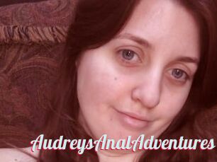 AudreysAnalAdventures