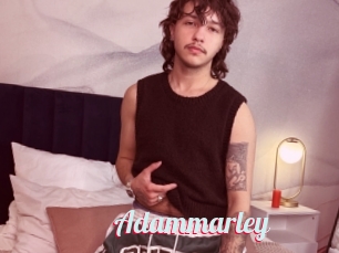 Adammarley