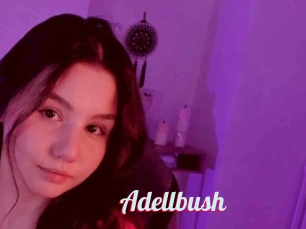 Adellbush