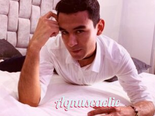 Agnuscaelie