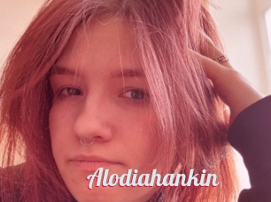 Alodiahankin