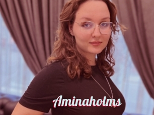 Aminaholms