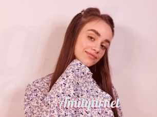 Amityarnet
