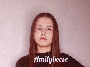 Amitybeese