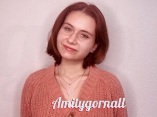 Amitygornall