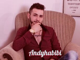 Andyhabibi