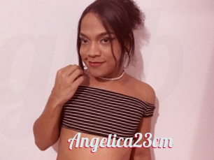 Angelica23cm