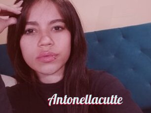 Antonellacutte