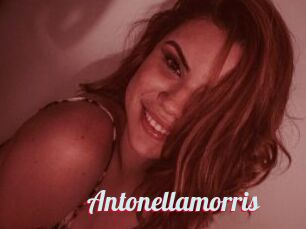 Antonellamorris