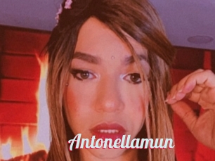 Antonellamun