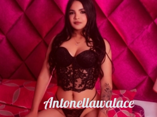 Antonellawalace