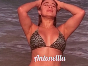 Antonellla