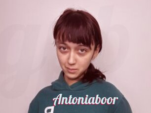 Antoniaboor