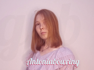 Antoniabowring