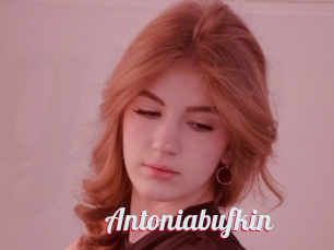 Antoniabufkin