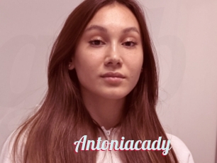 Antoniacady