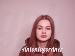 Antoniacordner