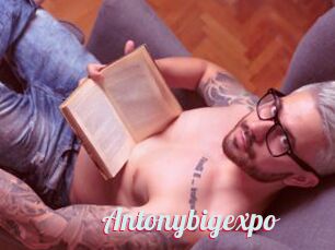 Antonybigexpo