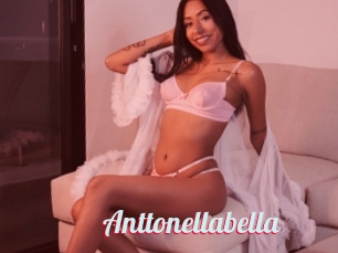 Anttonellabella