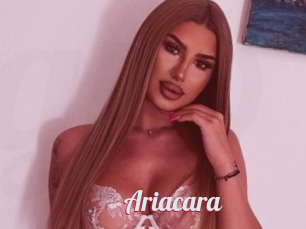 Ariacara