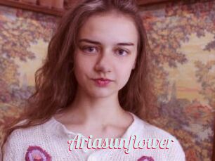 Ariasunflower