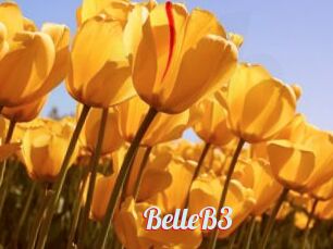 BelleB3