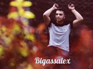 Bigassalex