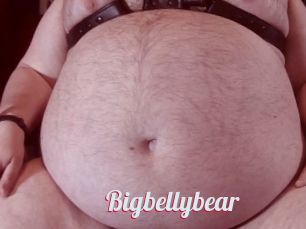 Bigbellybear