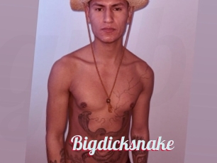 Bigdicksnake