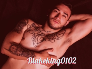 Blakeking0102