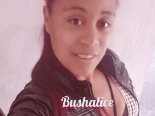 Bushalice