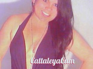 CattaleyaCum