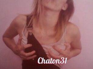 Chaton31