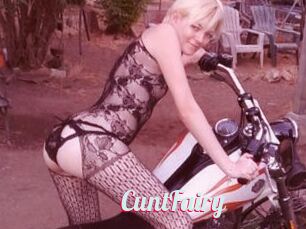 CuntFairy
