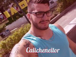 Calicheneitor