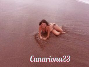 Canariona23