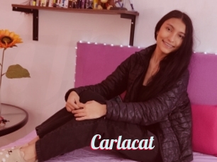 Carlacat
