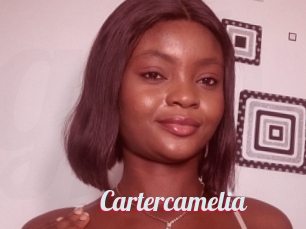 Cartercamelia