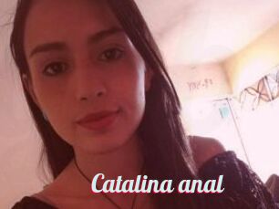 Catalina_anal