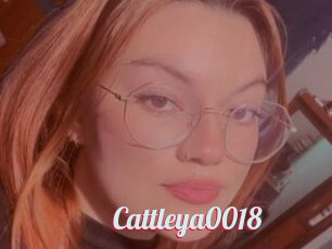Cattleya0018