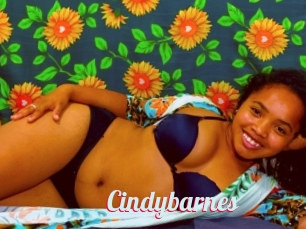 Cindybarnes