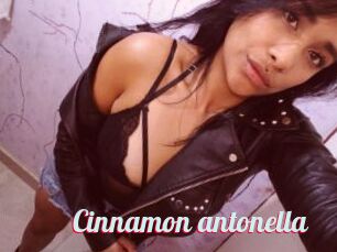 Cinnamon_antonella