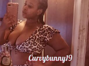 Curvybunny19
