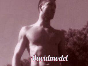 Davidmodel