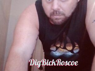 DigBickRoscoe