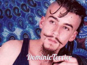 DominicTerrier